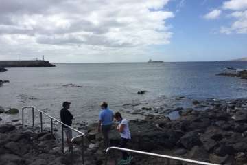 IV Open Fotosub Telde en aguas de Taliarte y Tufia (Foto TA)